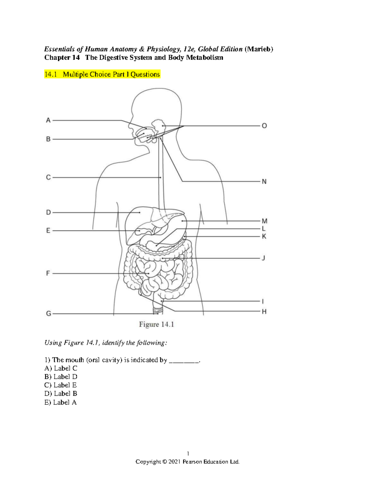 Digestive system revision Q&A - 1 Essentials of Human Anatomy ...