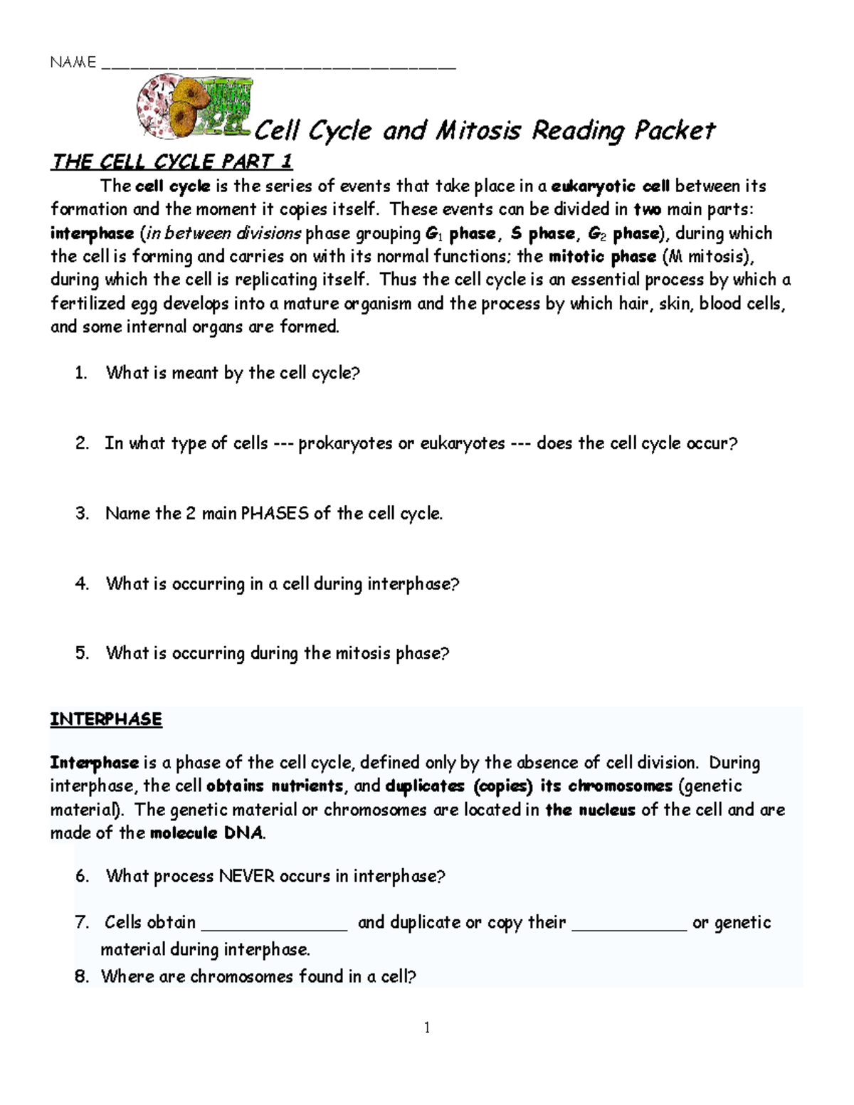 Cell cycle and mitosis reading packet - NAME ...