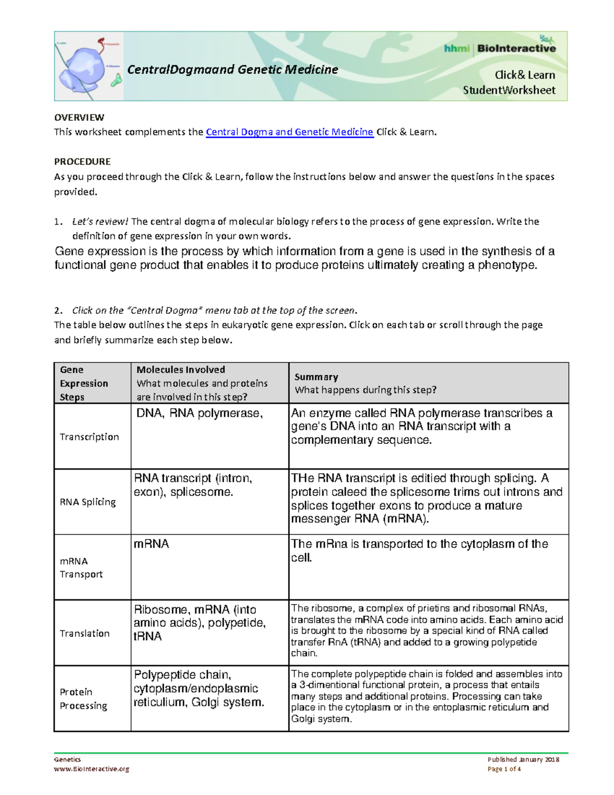 Central Dogma and Genetic Medicine Student Worksheet - Click & Learn  Student Worksheet Central - Studocu