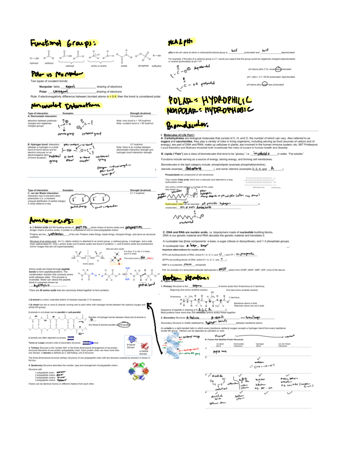 7.012 Cheat Sheet Quiz 1 - 7.012 - Studocu
