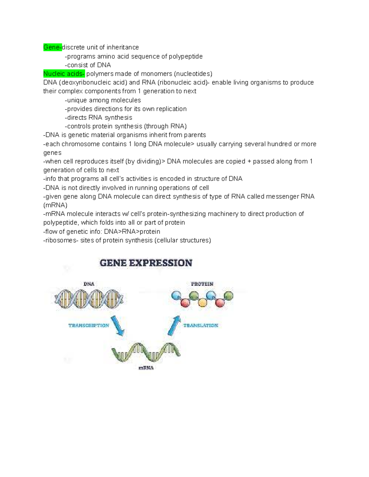 Nucleic acids Genediscrete unit of inheritance programs amino acid sequence of polypeptide