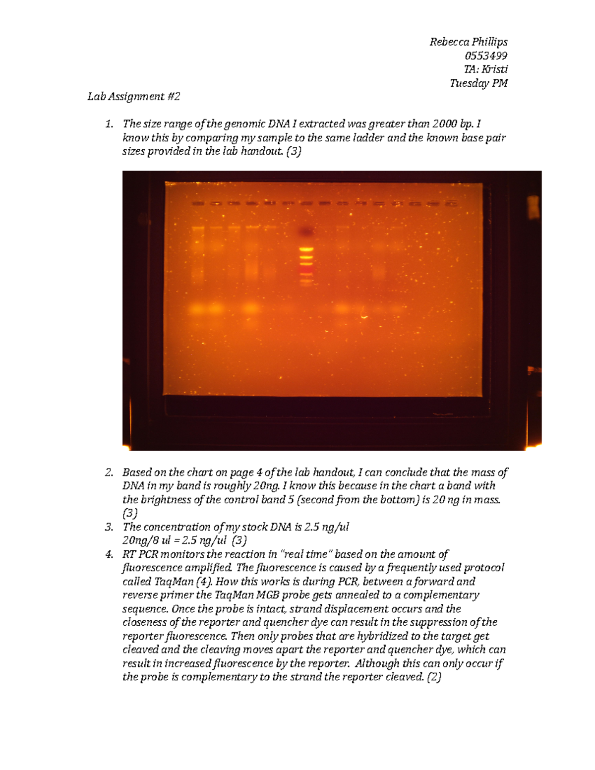 Lab Assignment 2 - Lab 2 - Lab Assignment #2 Rebecca Phillips 0553499 ...