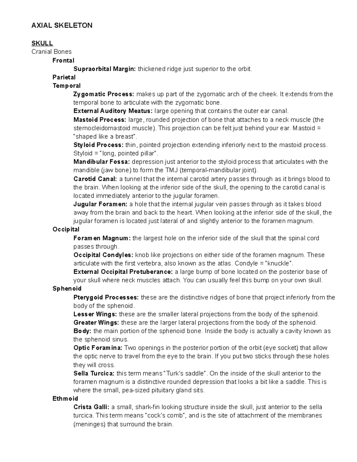 biol-244a-week-7-axial-skeleton-terminology-guide-with-descriptions