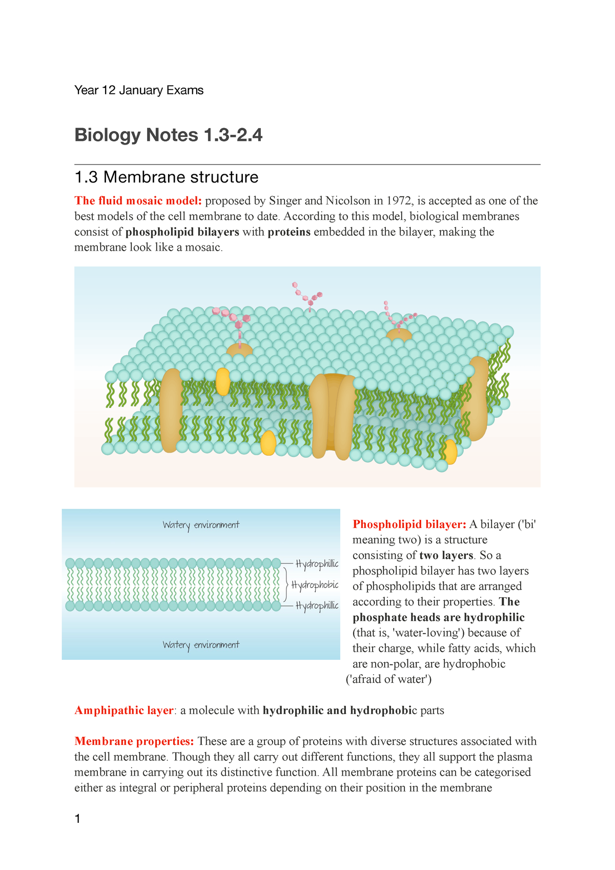Biology Year 12 Jan Exams Notes - Year 12 January Exams Biology Notes 1 ...