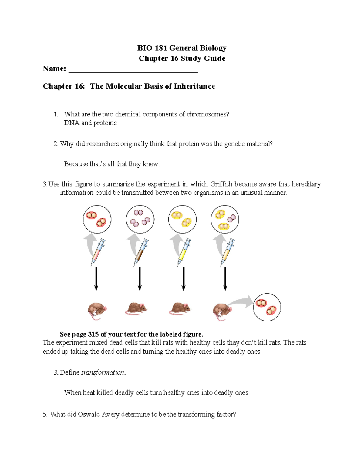 BIO 181 Chapter 16 Study Guide - BIO 181 General Biology Chapter 16 ...