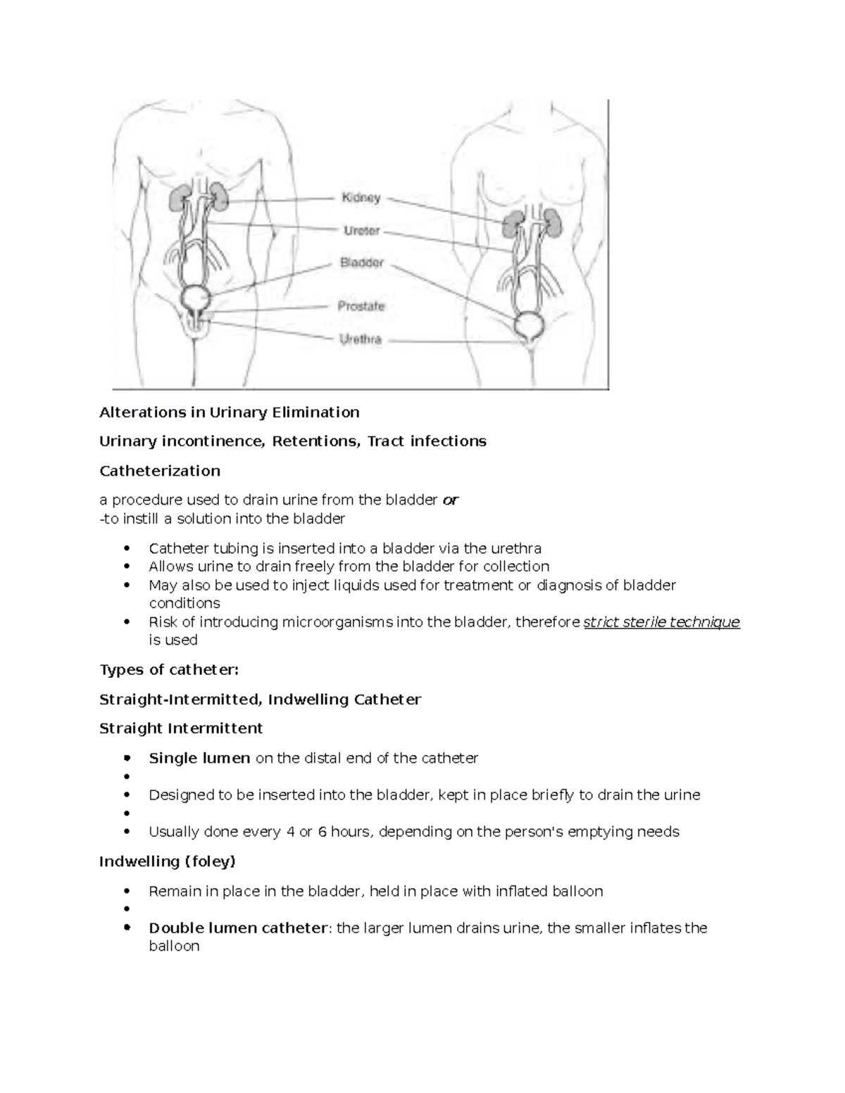 urinary-catheterization-alterations-in-urinary-elimination-urinary