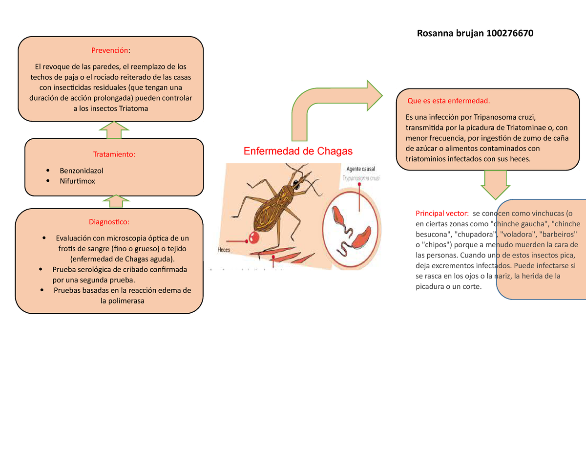 Tripanosomiasis Africana - Rosanna brujan 100276670 Enfermedad de Chagas  Prevención: El revoque de - Studocu