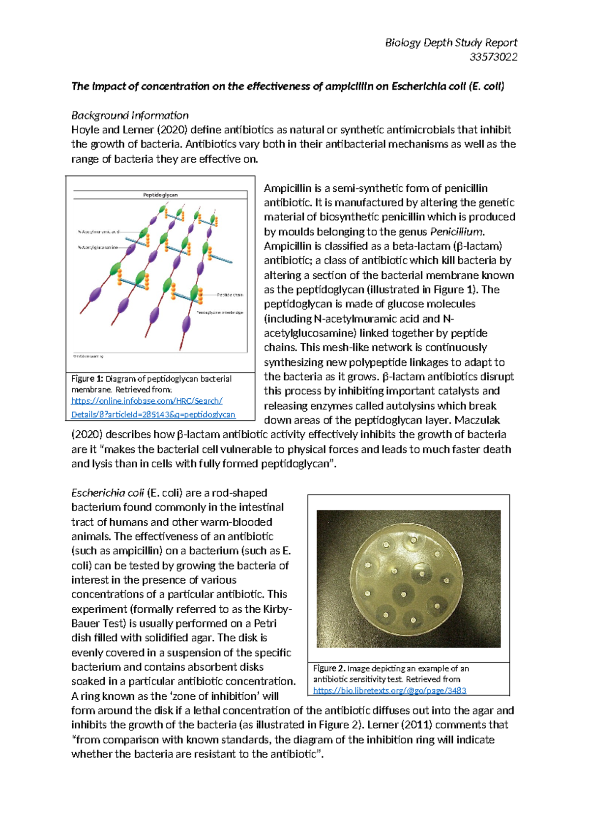 Depth Study Report - Final Draft - 33573022 The impact of concentration ...