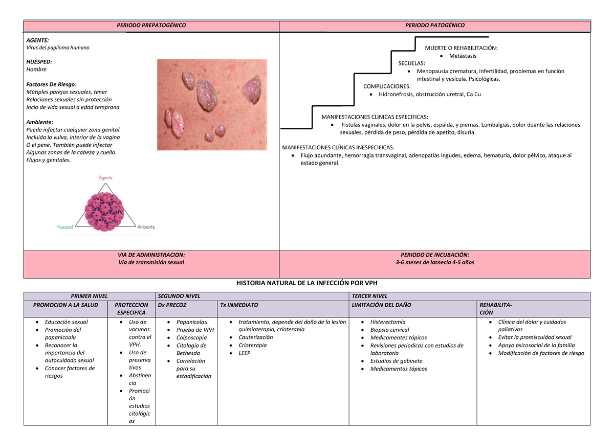 Historia natural. vph - VPH - HISTORIA NATURAL DE LA INFECCI”N POR VPH