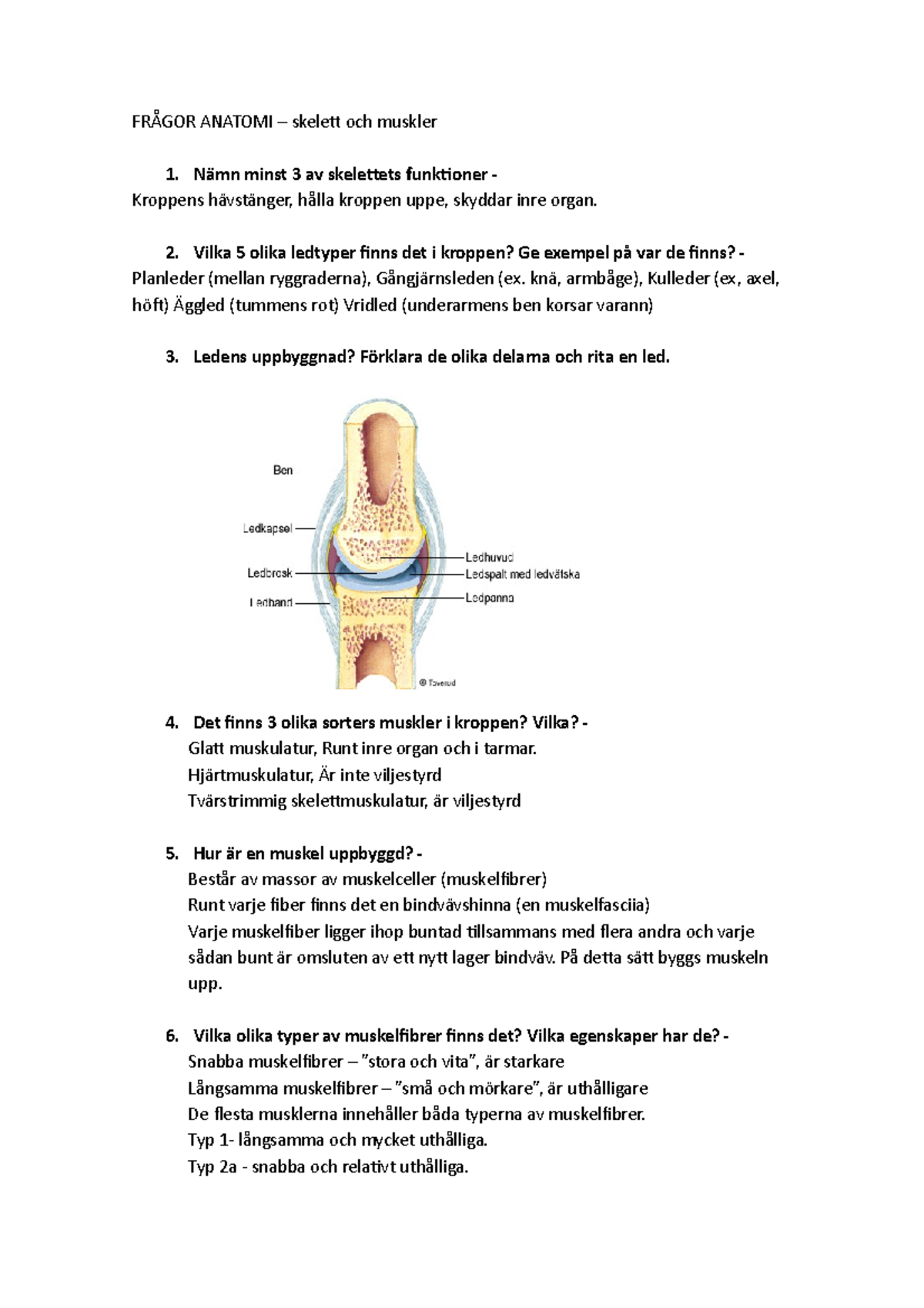 Frågor Anatomi - FRÅGOR ANATOMI – Skelett Och Muskler Nämn Minst 3 Av Skelettets Funktioner ...