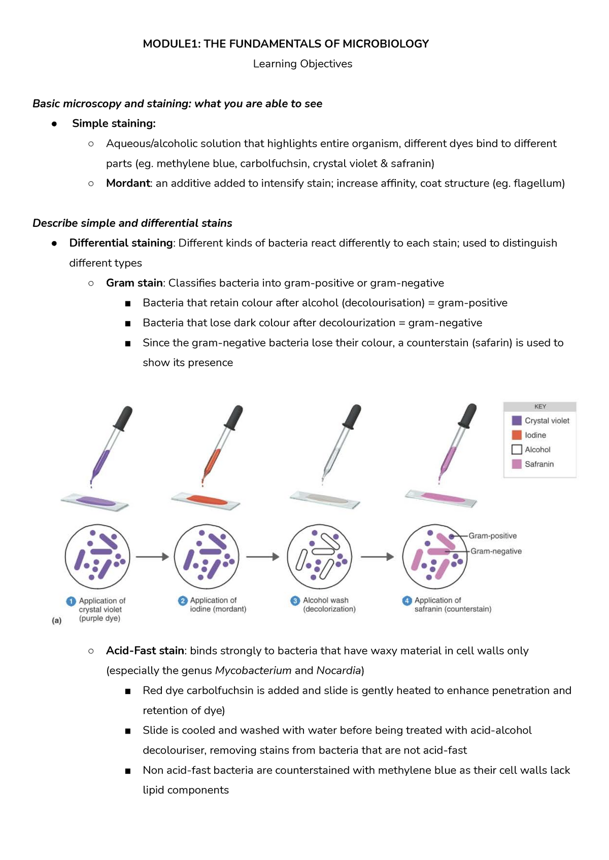 Module 1 Fundamentals Of Microbiology - MODULE1: THE FUNDAMENTALS OF ...