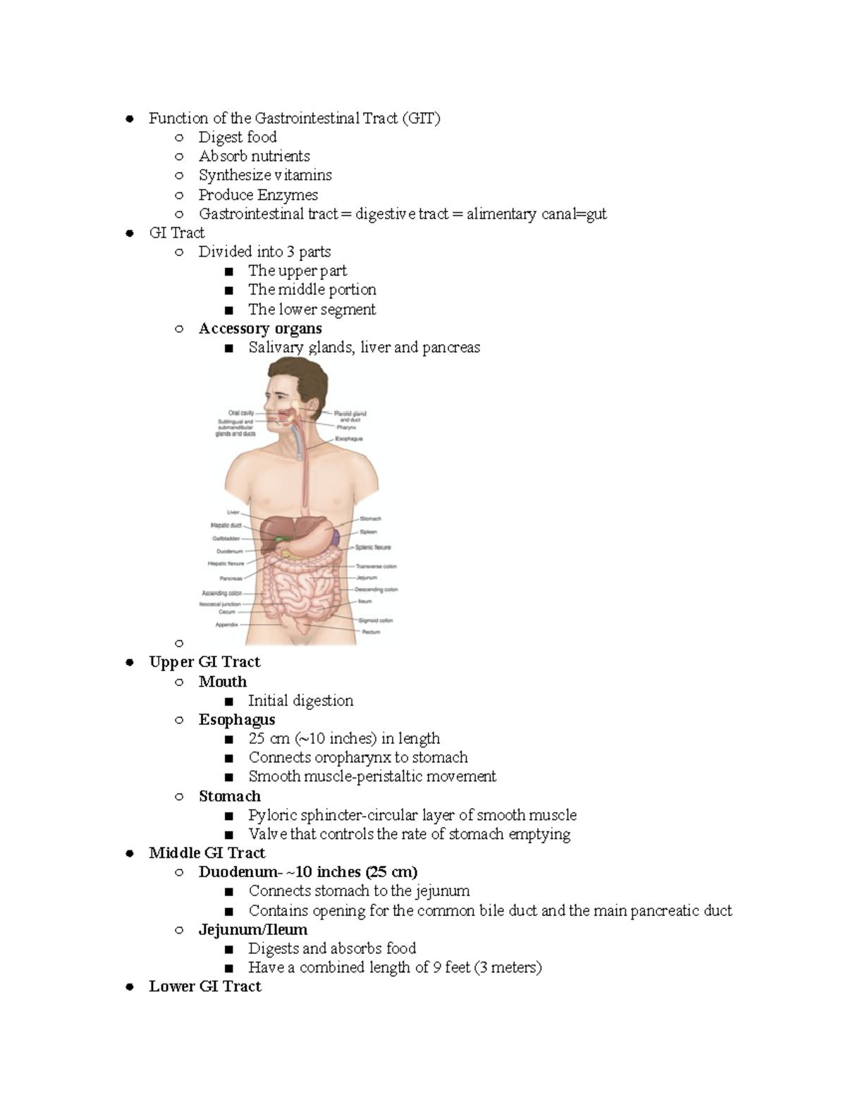 Pathophysiology GI - Function of the Gastrointestinal Tract (GIT ...