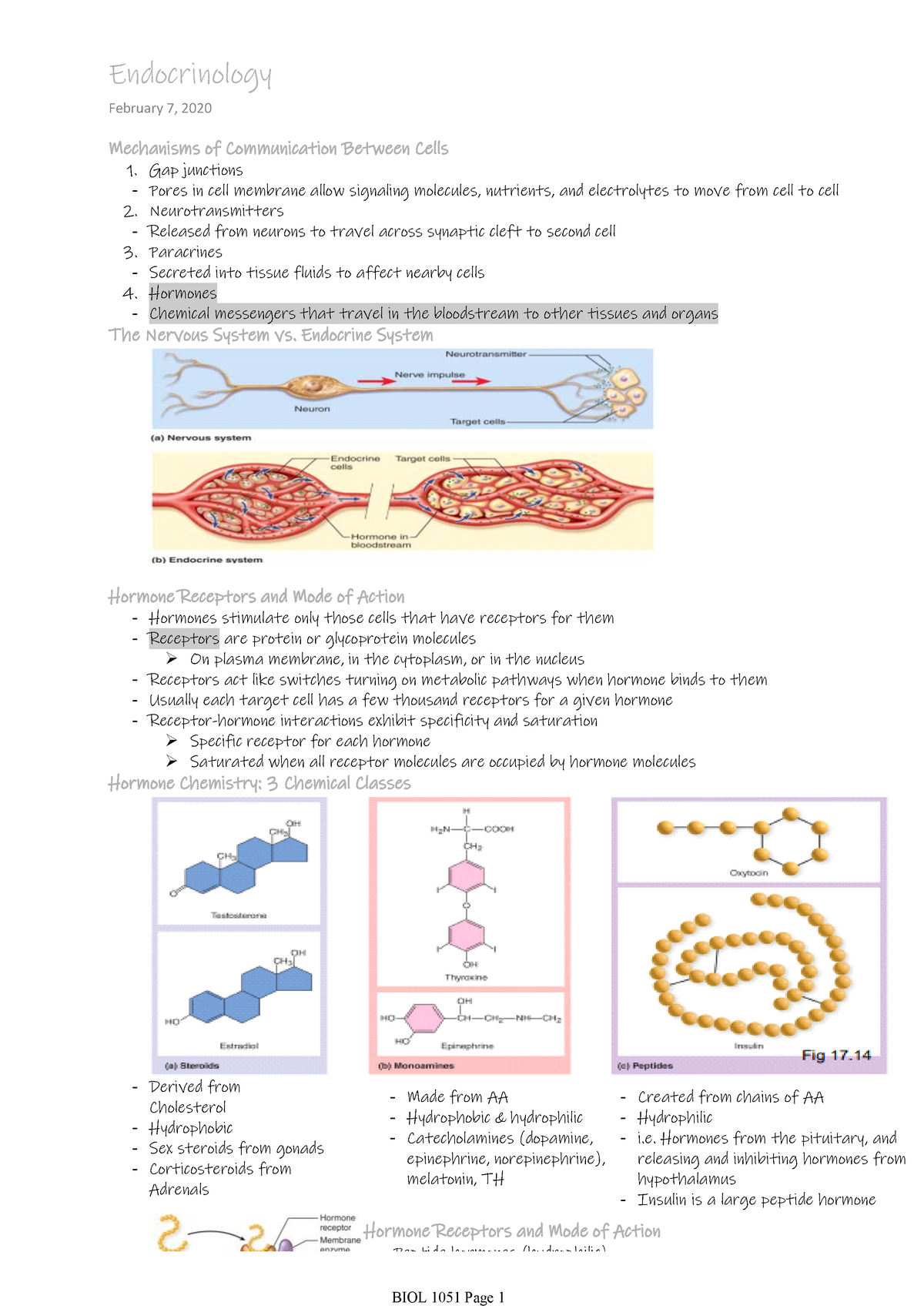 Endocrinology Lecture Notes 5 Warning Tt Undefined Function 32 1 Gap Junctionspores In 