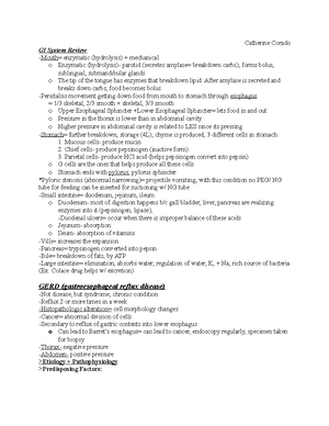 ATI Med Surg Proctor Exam Report Focused Review - Individual ...