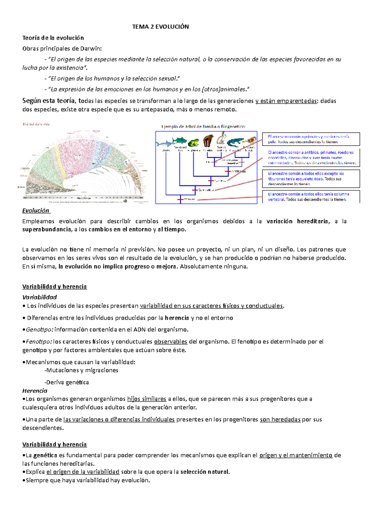 TEMA 2 Y 3 Evolución.odt net apunts - TEMA 2 EVOLUCIÓN Teoría de la ...