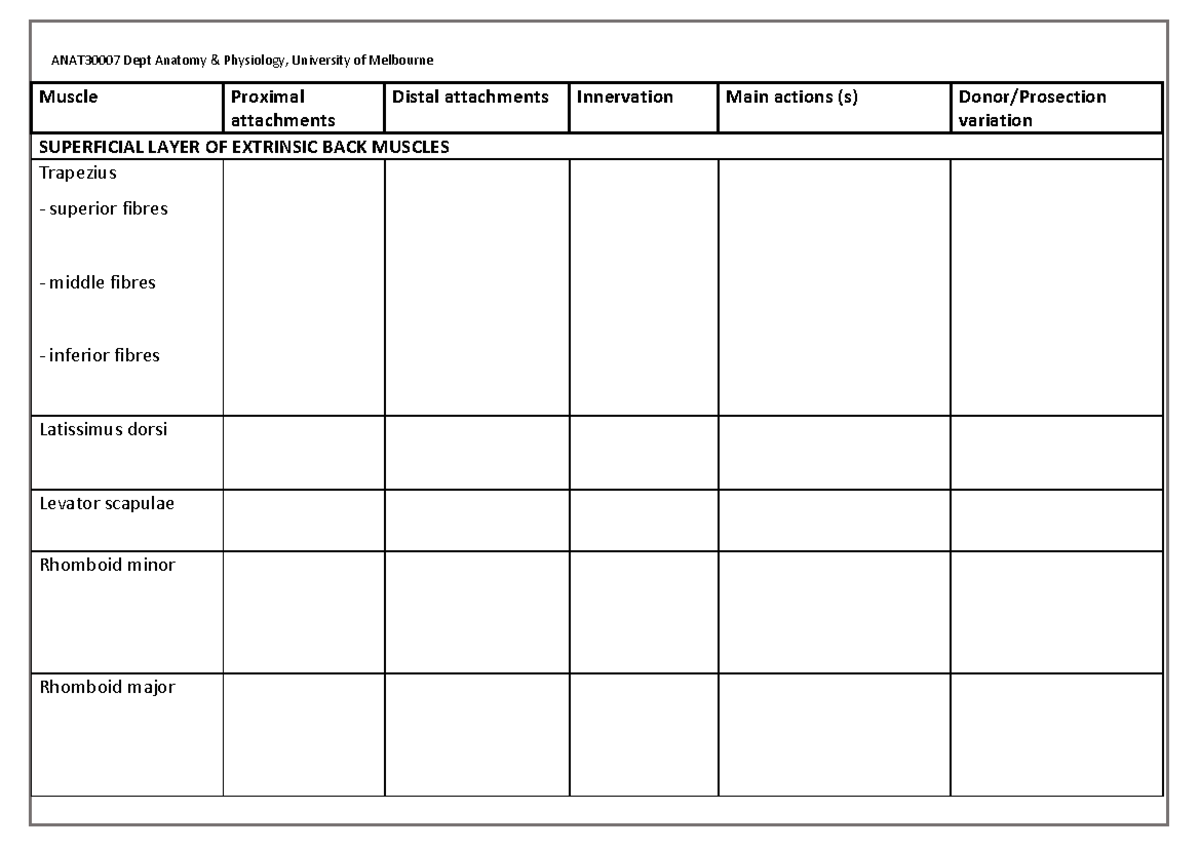 Back+attachments+table - Muscle Proximal attachments Distal attachments ...
