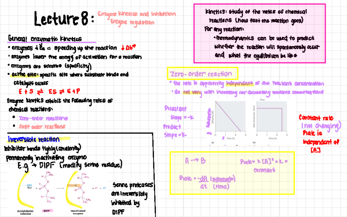 Lecture 8 Review - notes from ppts - kinetics : study oftherates of ...