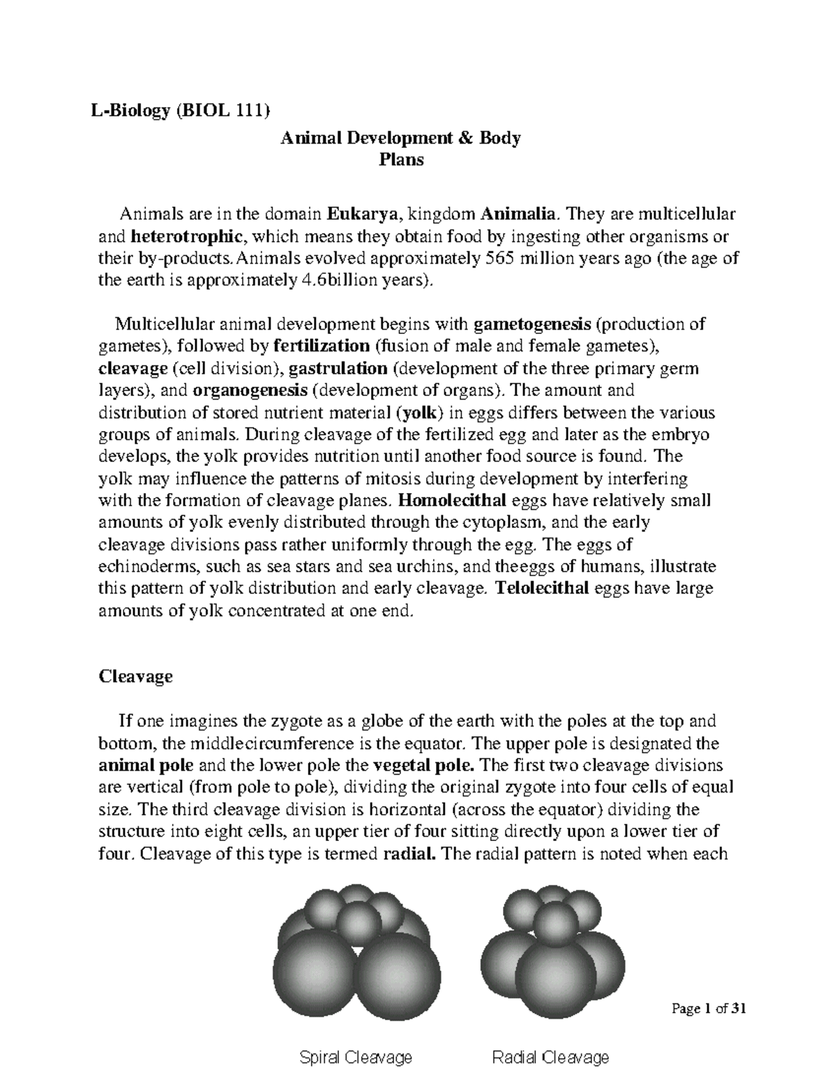 Biology (BIOL 111) Animal Development - They are multicellular and ...