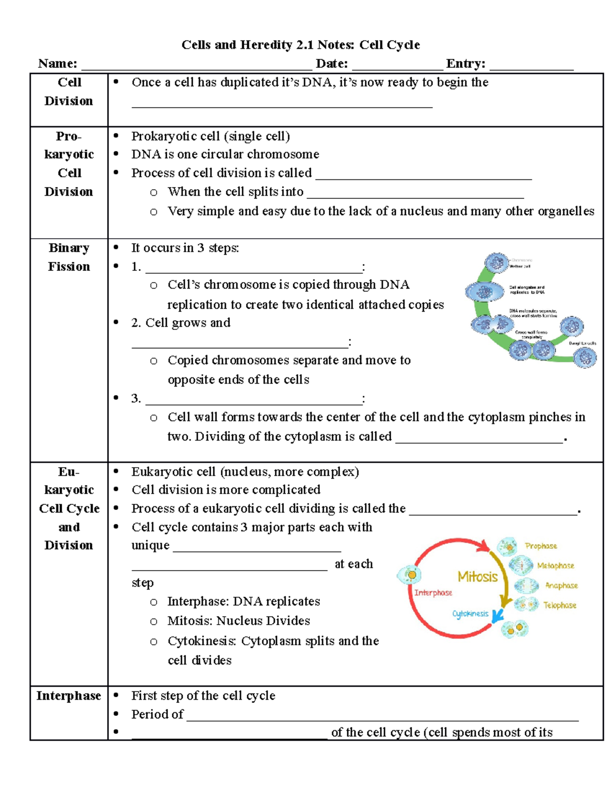 Periodic trends - Cells and Heredity 2 Notes: Cell Cycle Name