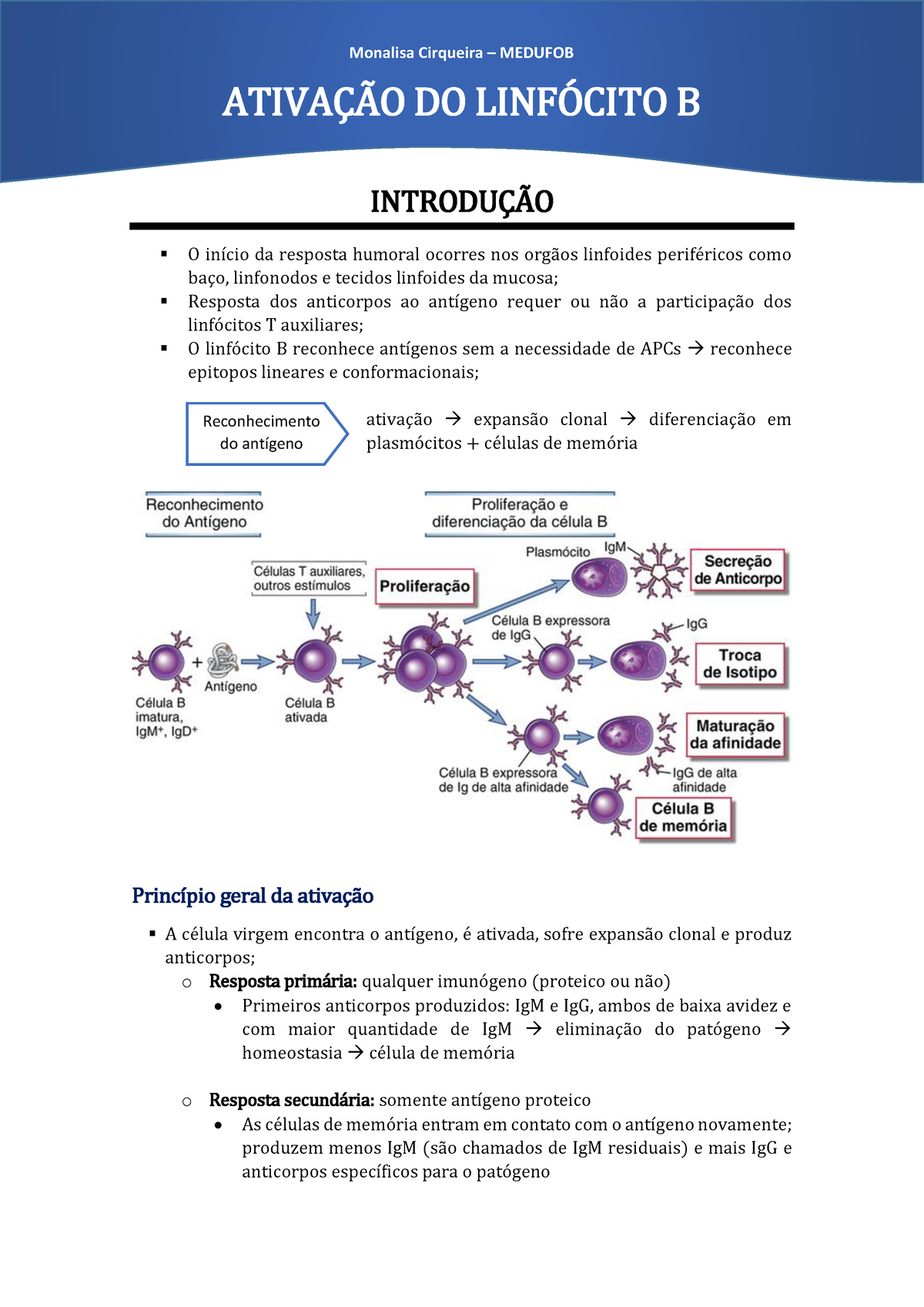 3. Ativação Dos Linfócitos B - Monalisa Cirqueira - MEDUFOB INTRODUÇÃO ...