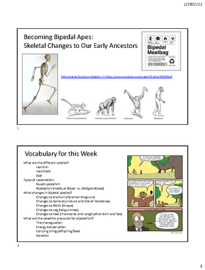 Lecture 10 Week 10 Early Human Evolution(2) - 3/17/ 1 Early Human ...