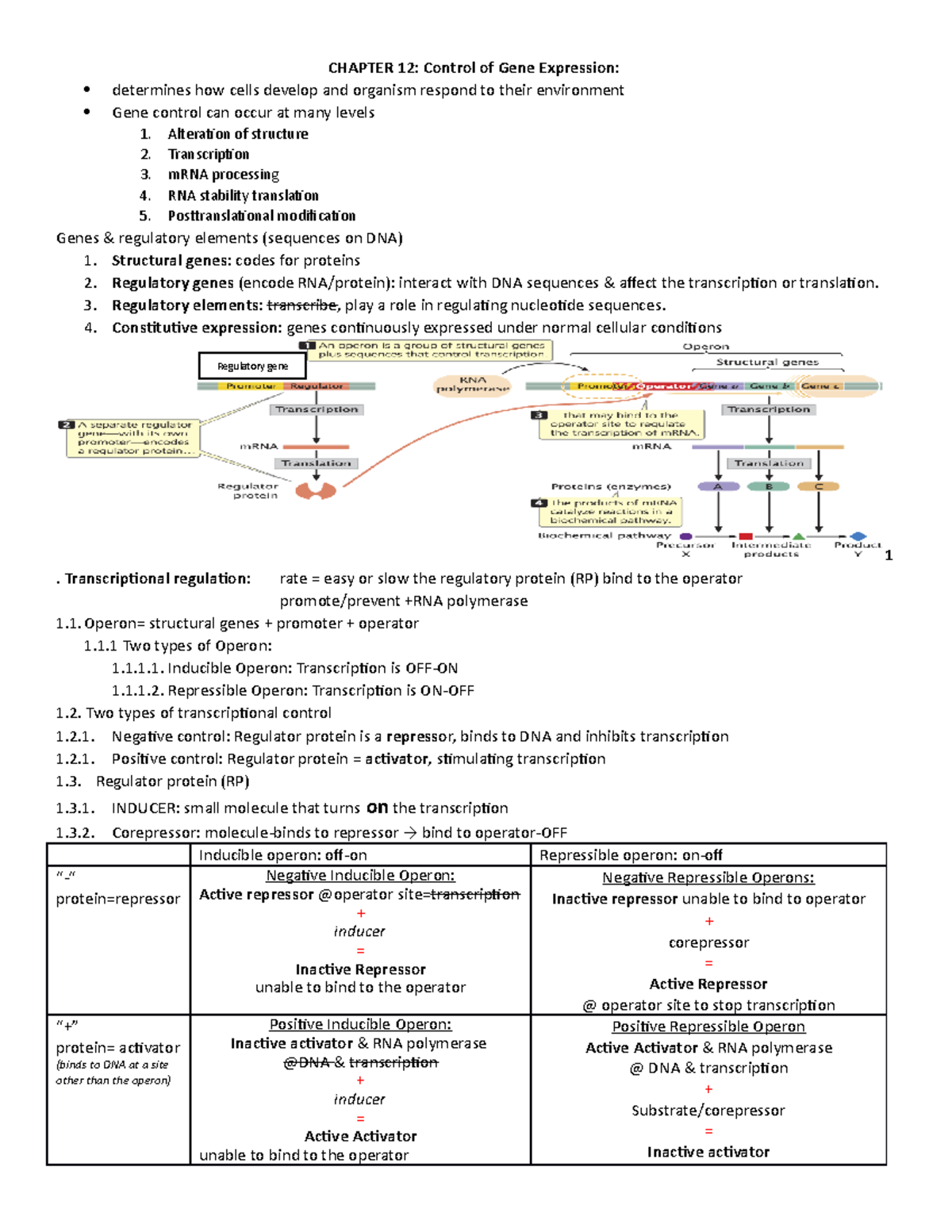 Chapter 12 Genetics - Lecture notes 12 - CHAPTER 12: Control of Gene ...