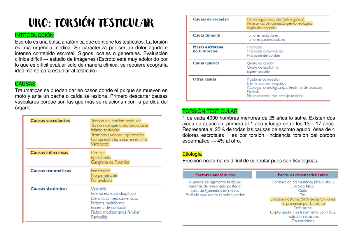 Torsion Testicular URO URO TORSIÓN TESTICULAR INTRODUCCIÓN Escroto