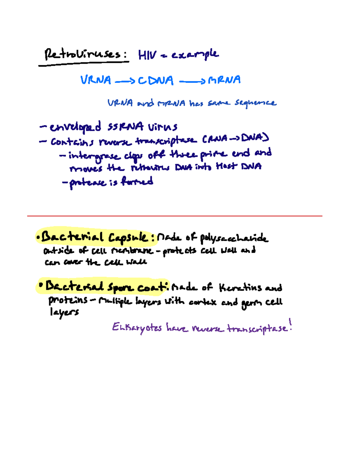 Viruses - Retroviruses HIV example RNA S C DNA MRNA URNA and mRNA has ...