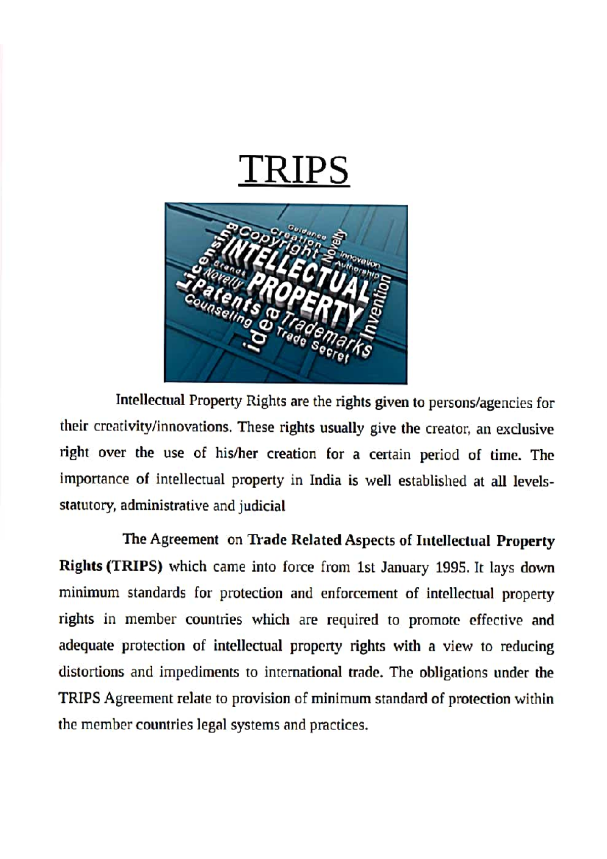 Trips and Trims International Business Studocu