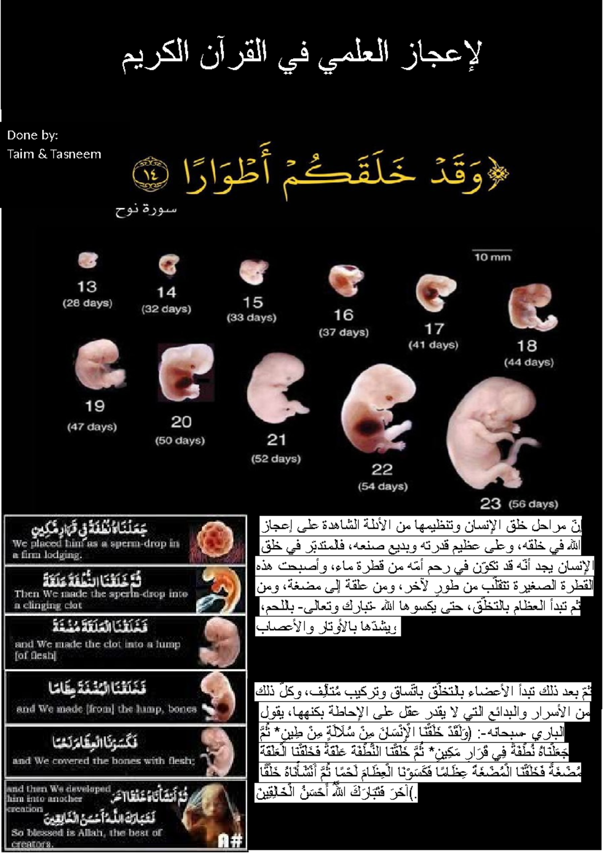 لإعجاز العلمي في القرآن الكريم - لإعجاز العلمي في القرآن الكريم إن ...