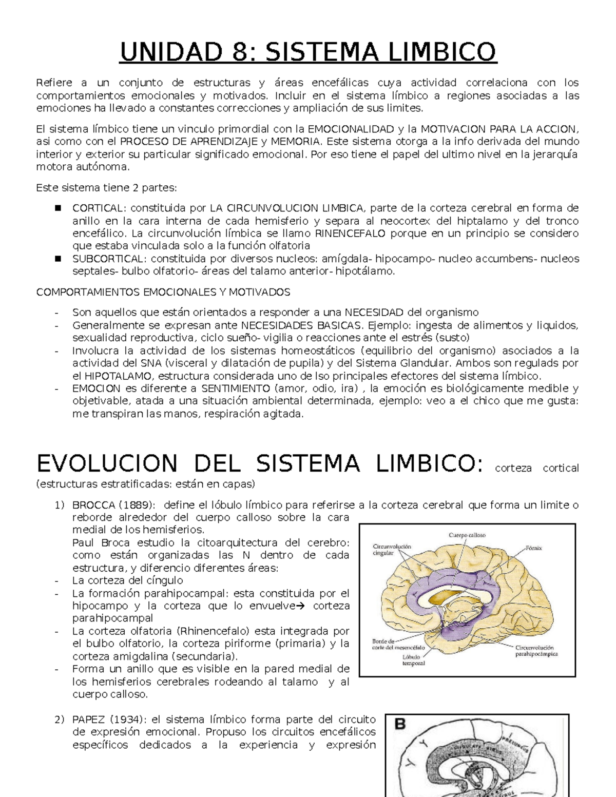 Unidad 8 NEURO B - UNIDAD 8: SISTEMA LIMBICO Refiere A Un Conjunto De ...