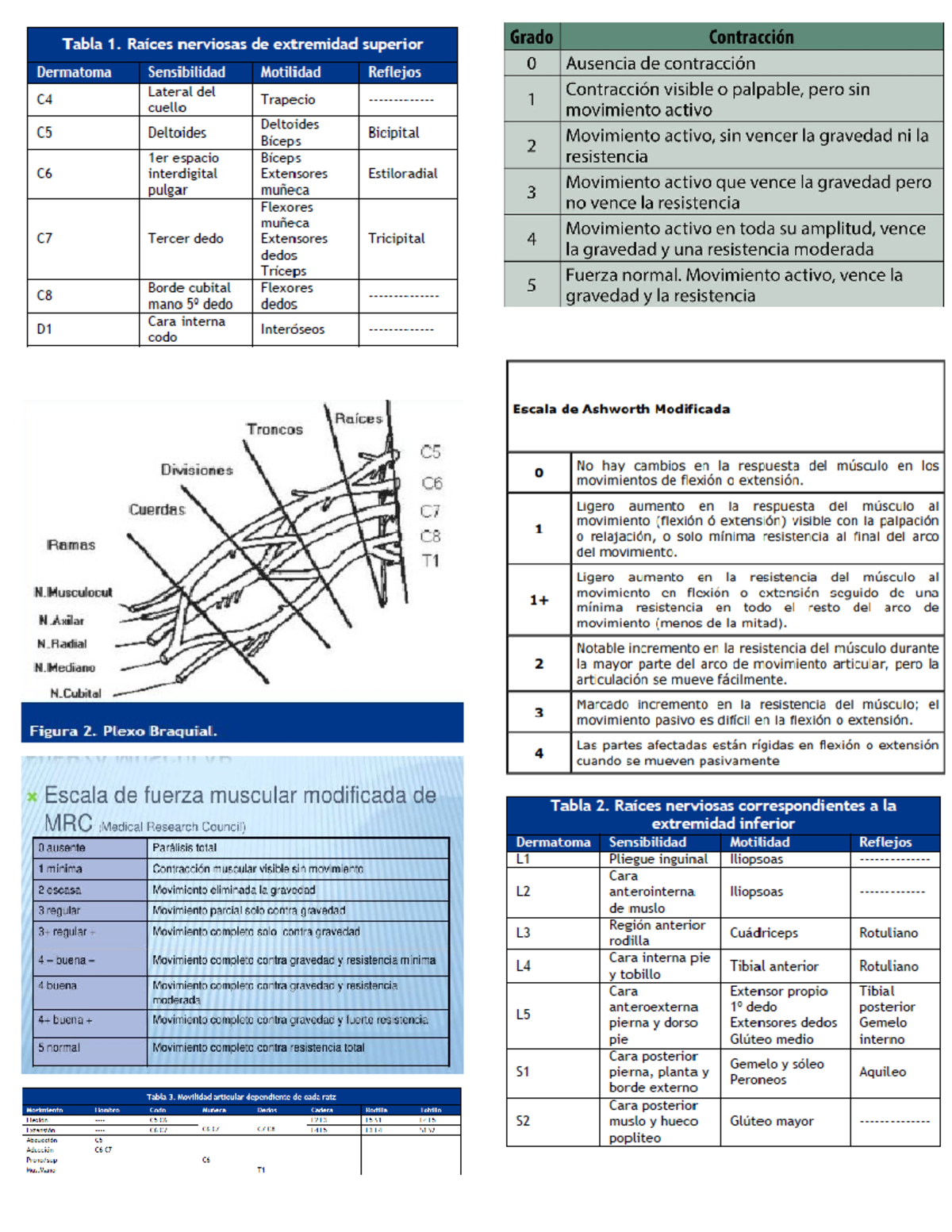 Escalas e imagenes de Rehabi - Fisioterapia y Rehabilitación - Studocu