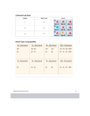 Ch+24b+Urinary - Notes for urinary system - 24 Urinary System Part 2 1 ...