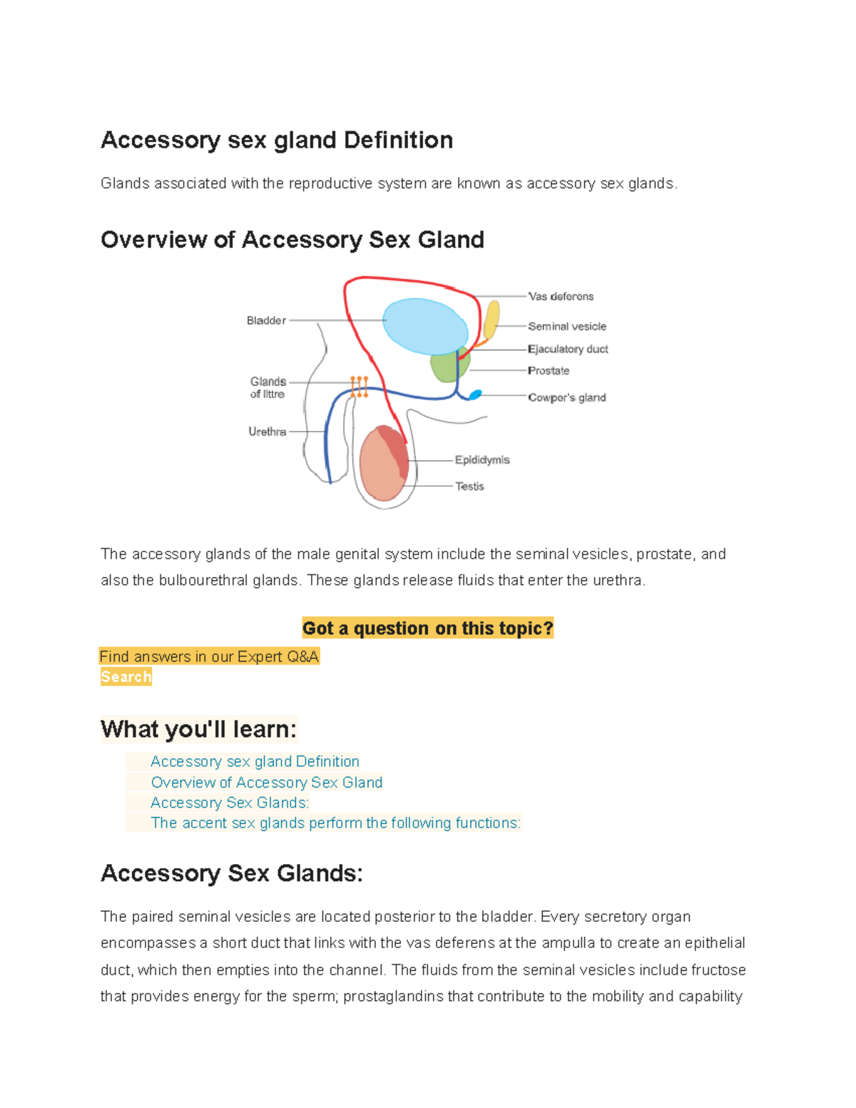 Biology (33) - Accessory sex gland Definition Glands associated with the  reproductive system are - Studocu