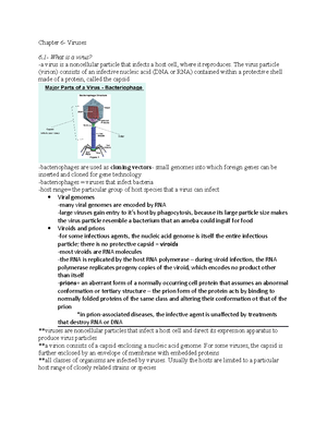 Chapter 3 - Lecture notes 3 - Chapter 3- Cell Structure and Function ...