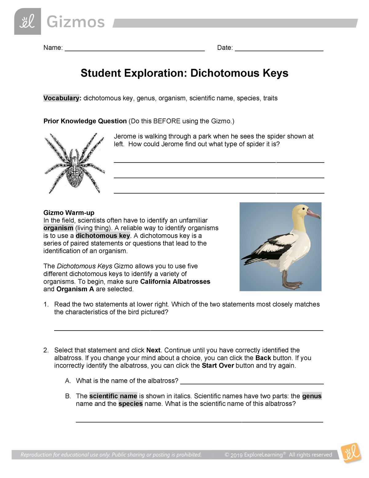 Nikita Diligul - Dichotomous Keys Gizmo Handout - 22 22 - M E Pertaining To Dichotomous Key Worksheet Pdf