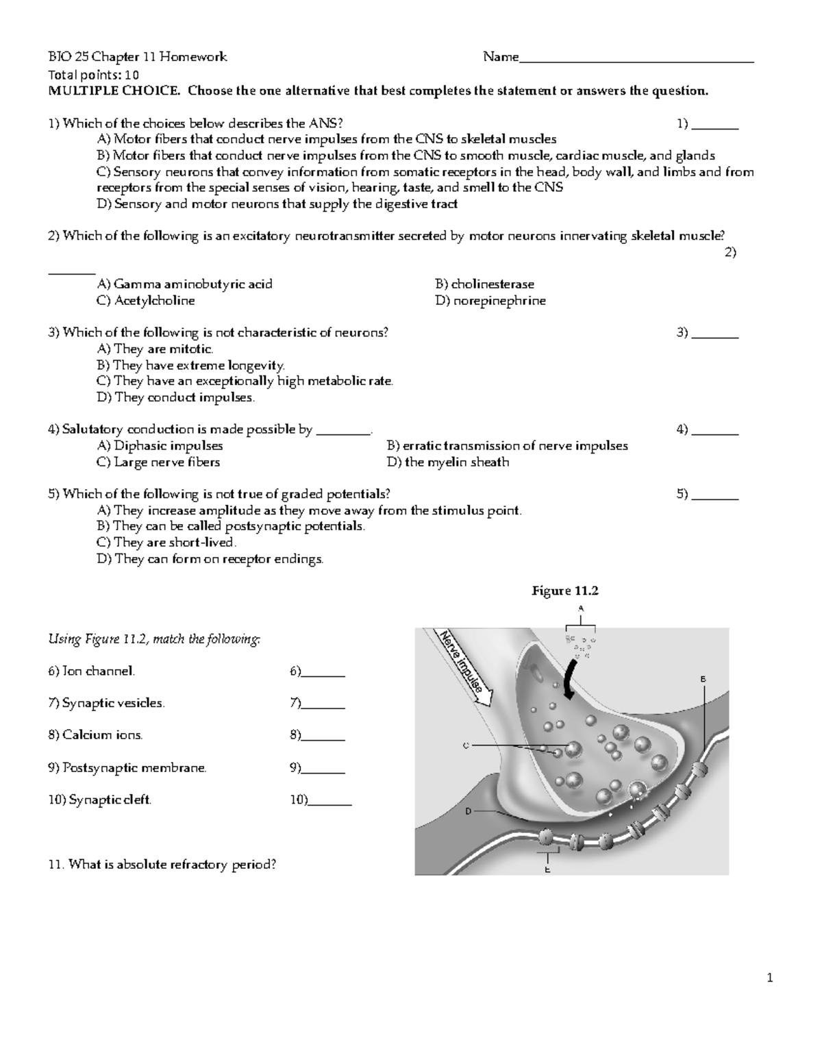 Bio 25 Chapter 11 seatwork The Nervous System and Nervous Tissue - BIO ...