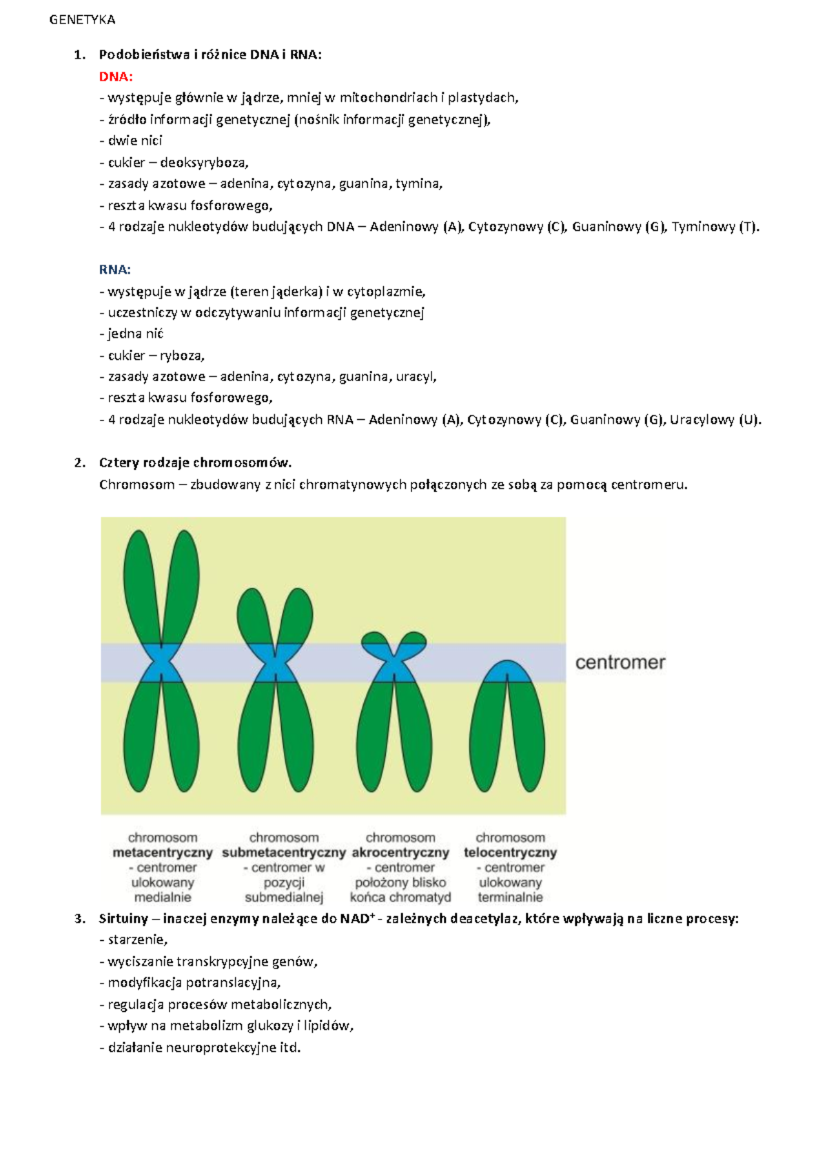 Notatki Z Genetyki — Kopia - GENETYKA Podobieństwa I Różnice DNA I RNA ...