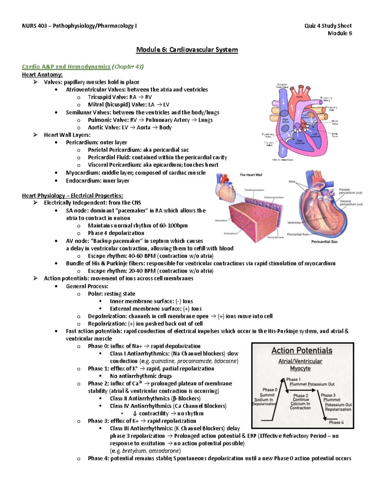 NURS 403 Quiz 4 Study Sheet Mod 6 A&P - NURS 403 – Pathophysiology ...