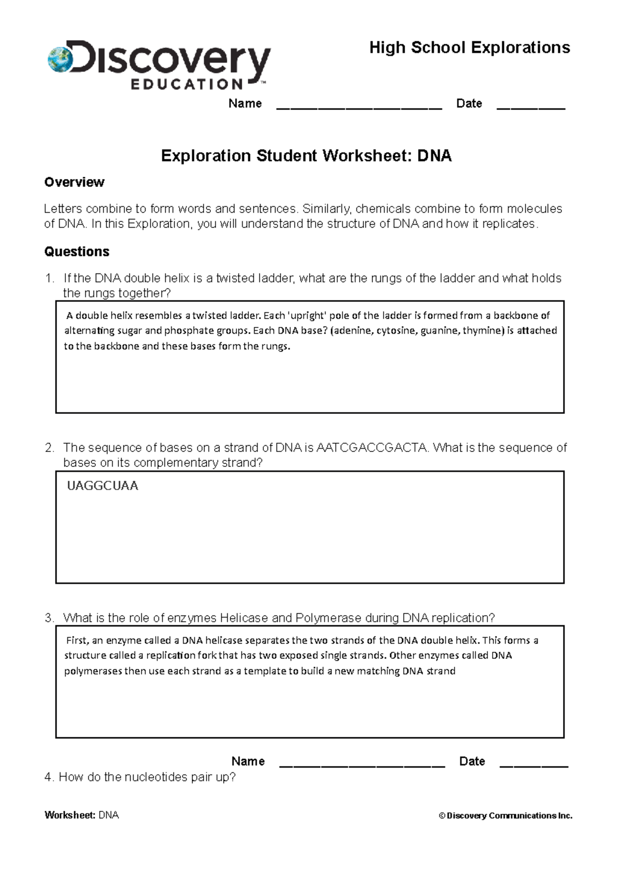 DNA Replication Exploration Student Worksheet - High School Explorations  Name - Studocu