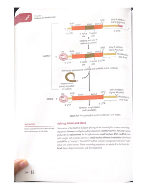 DNA and Biotechnology - CHEM 5534 - Studocu