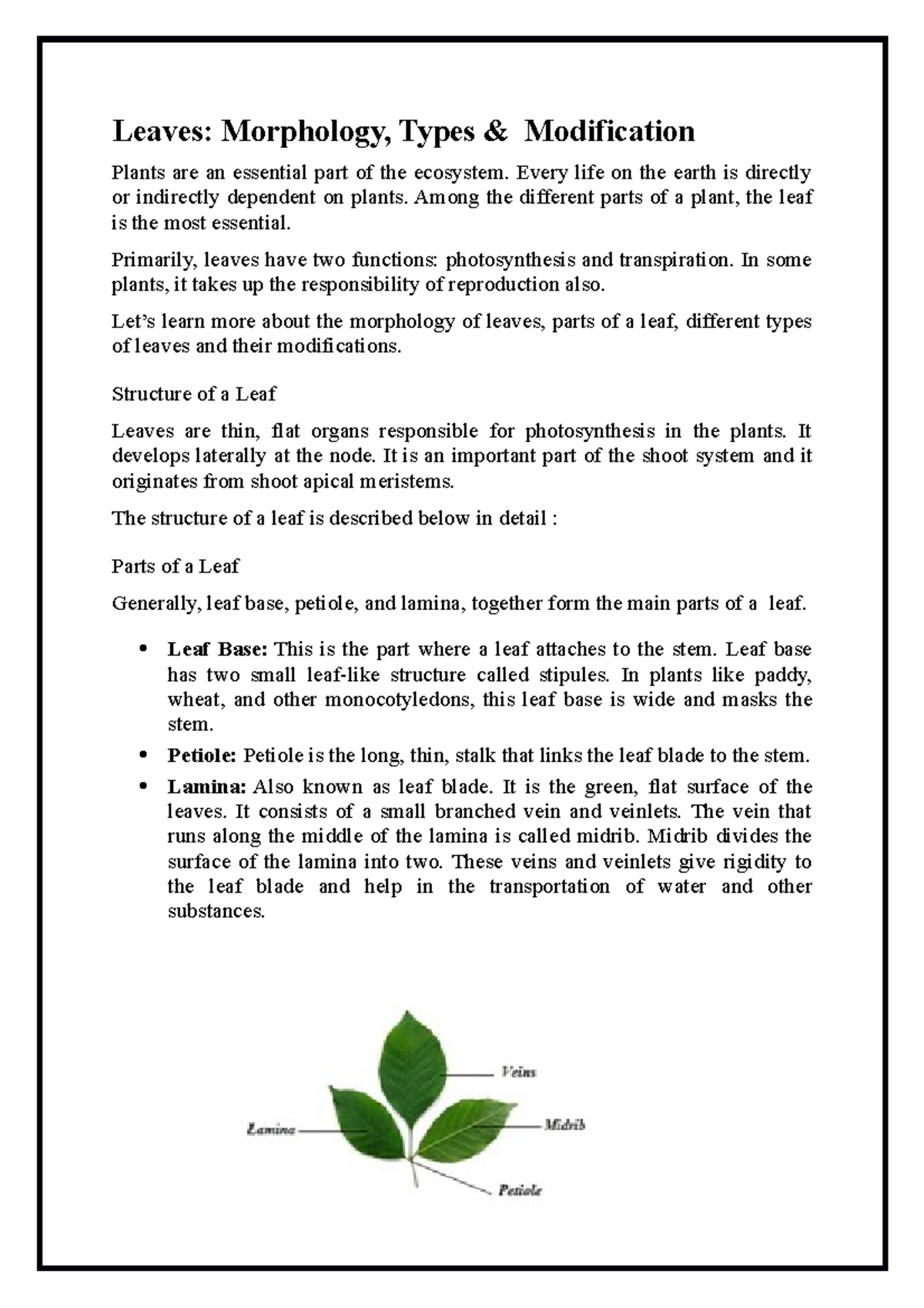 morphology-of-leaves-types-structure