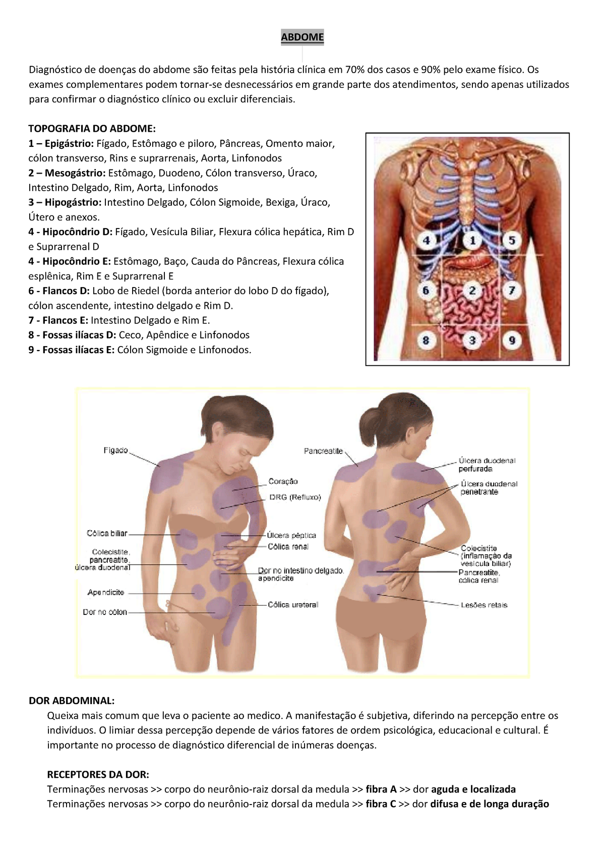 SanarFlix Medicina - Para facilitar o entendimento, o estagiário cedeu uma  foto do abdômen para vocês entenderem melhor a topografia abdominal. Quem  tem dificuldade com esses nomes, salva o post! #sanarflix #medicina #