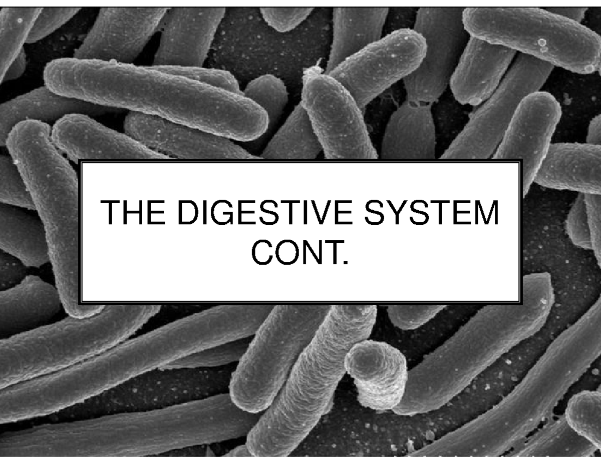 NUTR3210 Lecture 3 Digestive Systems Part 2 THE DIGESTIVE SYSTEM