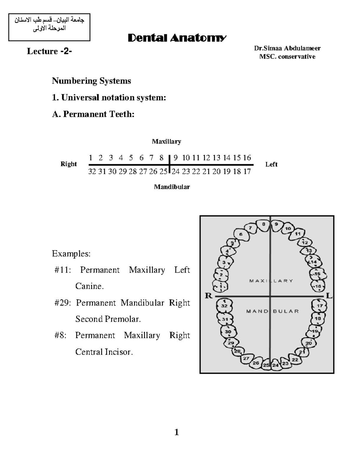 Lecture dental anatomy Dr Abdulameer Lecture 2 MSC. conservative Dental Anatomy نقسم طب