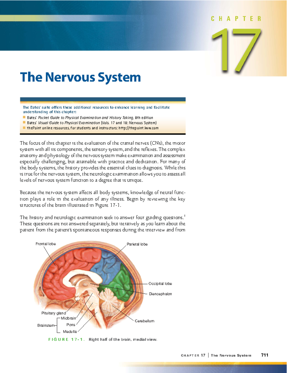 1 - This is nursing document - CHAPTER 17 | The Nervous System 711 The ...