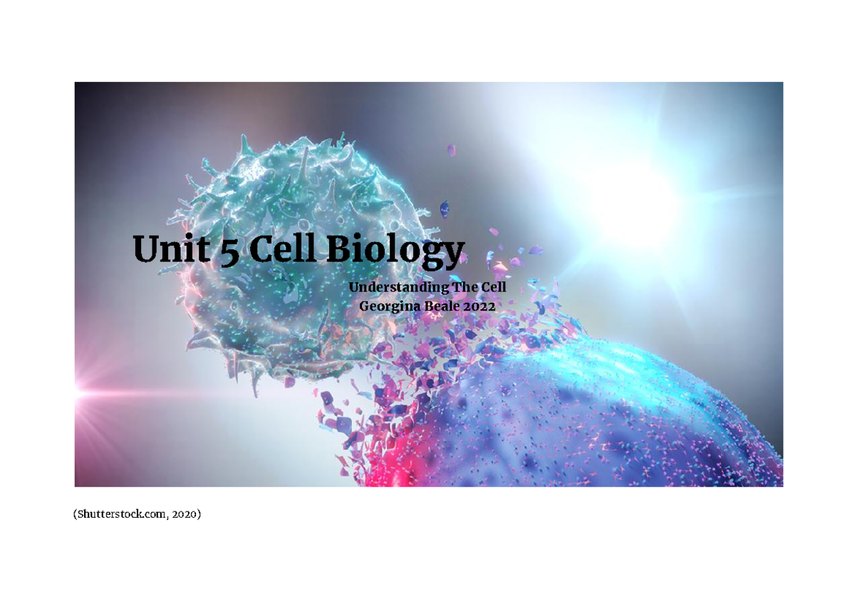 NEW Unit 5 Cell Biology Assignment 1 - Unit 5 Cell Biology ...