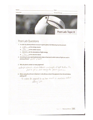 Homework Questions By 123 - BY 123L - Studocu