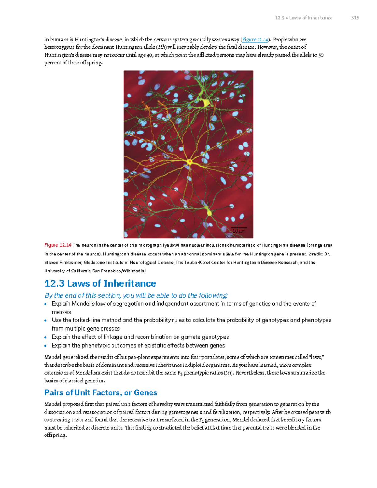 Chapter 12 Mendel's Experiments and Heredity Part 8 - in humans is ...