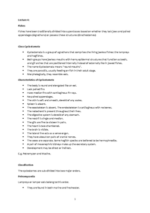 Phylum Protozoa - Elaborate notes - PHYLUM PROTOZOA The Protozoa are ...